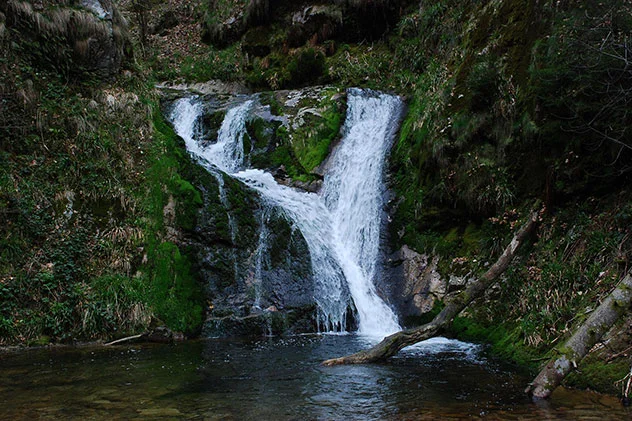 Nationalpark Nationalpark Schwarzwald