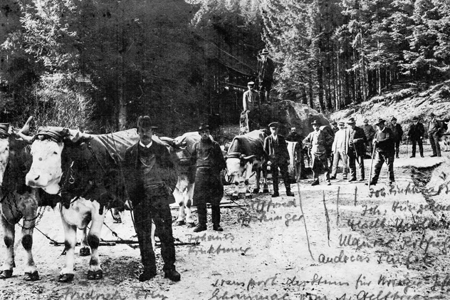 Der Waldknecht und seine Aufgaben im Klosterwald